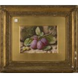 Charles Henry Slater - Still Life with Plums and Grapes, and Still Life with Grapes and Peach, a