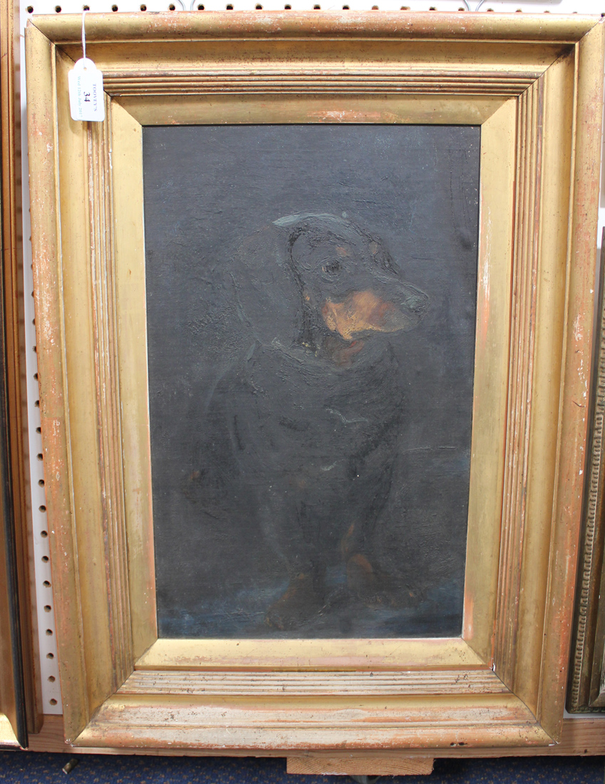 Attributed to Charles Tooby - Study of Fritz the Dachshund, late 19th century oil on board, label