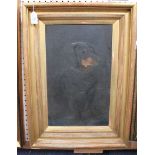 Attributed to Charles Tooby - Study of Fritz the Dachshund, late 19th century oil on board, label