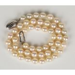 A single row necklace of uniform cultured pearls on an oval silver clasp, detailed '925', length