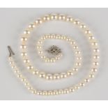 A single row necklace of graduated cultured pearls on a white gold, platinum and diamond set lozenge