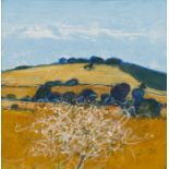 David Humphreys - 'E. across Adur to Downs (Meadowsweet in foreground)', oil on board, signed with