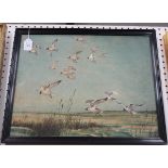 P. Norton - Seabirds in flight, oil on canvas, signed and dated 1946, 40cm x 50cm, within an