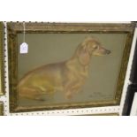 Phyllis Binet - 'Gerda ...' (Study of the Dachshund), pastel, signed with initials, titled and dated