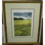 Helen Hanson - 'Summer Fields', colour etching, signed, titled and editioned 134/150 in pencil, 51.