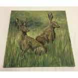 A small oil on canvas of wild hares. 30.5x30.5cm.