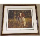 A signed Limited Edition print of a Springer Spaniel by Frederick Haycock. 46 x 56cm framed &