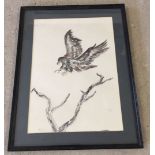 A framed & glazed watercolour of a bird of prey. Signed M. Brabben, Ltd edition.