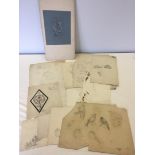 Florence Camm, 18 pencil and watercolour sketches of flora and fauna, to include rabbits and birds.