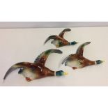 A graduated set of 3 ceramic flying duck wall hanging ornaments.