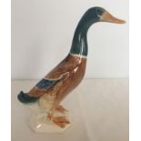 A Beswick Mallard duck. Model #756-1.