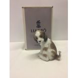 A boxed Lladro figurine of a puppy with a butterfly on his tail.