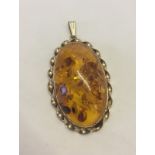 A large Baltic amber and 10k gold pendant.
