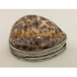 A 19th century unmarked white metal mounted cowrie shell snuff box.