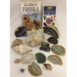 A box of quartz geodes together with book on fossils.