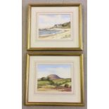 2 framed and glazed watercolours by S. McLarnon.