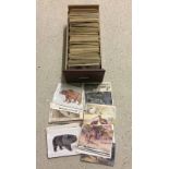 Approx 800 + vintage postcards of zoo animals and birds.