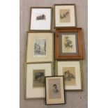 A collection of framed and glazed vintage prints.