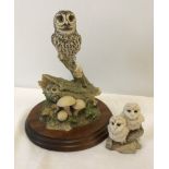 A Border Fine Arts Little Owl & Owlet together with BFA 'Watching & Waiting' owlets.