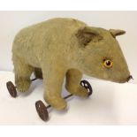 Antique/vintage mohair pull-along teddy bear on wheels.