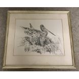 David Poole - pencil sketch of a Black Tailed Godwit.