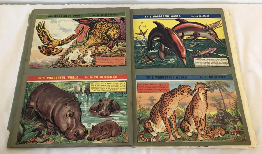 A vintage scrap book containing a quantity of animal pictures and facts from "This Wonderful World".