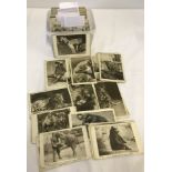 A box of photographic zoo animal postcards.