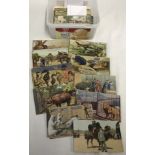A box of vintage colour zoo postcards.