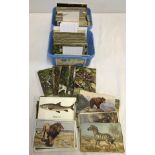 2 boxes of vintage flora and fauna postcards together with Observer's picture postcards 300+.