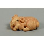 A Japanese carved and stained ivory netsuke in the form of a recumbent ram, 1.25w.