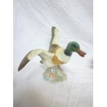 A Beswick china figure of a Mallard Duck