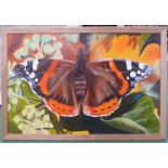 JUSTIN BARNARD (XXI Norfolk artist): An oil on canvas depicting a Red Admiral Butterfly.