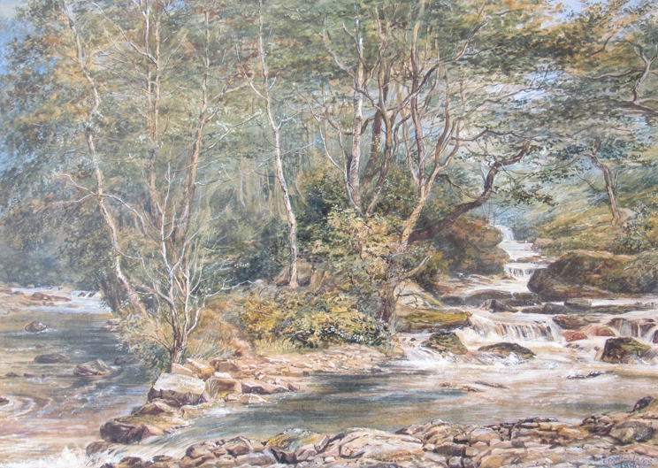 C.C. WILLIAMS (XIX): A framed and glazed watercolour of a woodland stream.