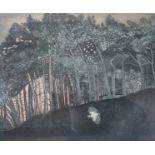 PAMELA HUGHS (1918 - 2002) A framed and glazed etching, 'Edge of the Wood' Holkham'.