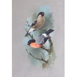 RAYMOND WATSON (1935-1994) (ARR) A framed and glazed acrylic on paper, 'Bullfinches' signed.