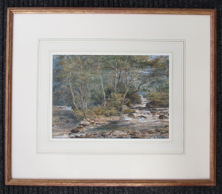 C.C. WILLIAMS (XIX): A framed and glazed watercolour of a woodland stream. - Image 3 of 3