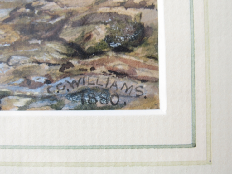C.C. WILLIAMS (XIX): A framed and glazed watercolour of a woodland stream. - Image 2 of 3