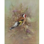 RAYMOND WATSON (1935-1994) (ARR) A framed and glazed acrylic on paper, 'Goldfinch' signed.