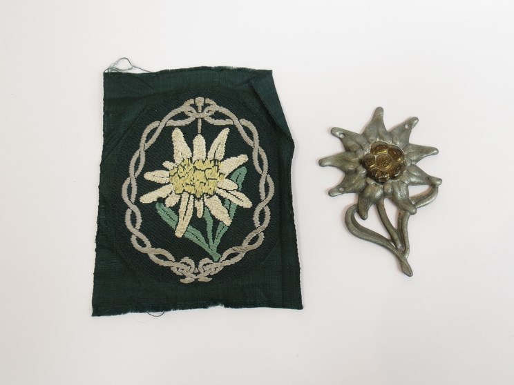A German Edelwiess cloth arm badge and an Edelwiess cap badge (2)
