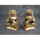 A pair of gilded brass temple dogs