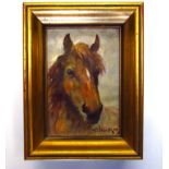 STEPHEN WALKER (1900-2004) Oil on paper on canvas profile of horses head, signed lower right, 16.