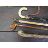 Four walking sticks including dog and cat handle examples