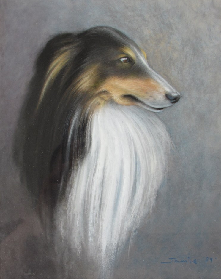 JAMIE ANDREWS (b.1962): A framed and glazed oil pastel on paper, 'Long Haired Hound , Shep'.