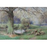 JOHN MACPHERSON HAYE (XIX/XX) A gilt framed watercolour, sheep grazing by riverside,