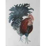 KERRY BUCK (XX): A framed and glazed coloured etching "Cockerel", pencil signed and numbers 1/75.