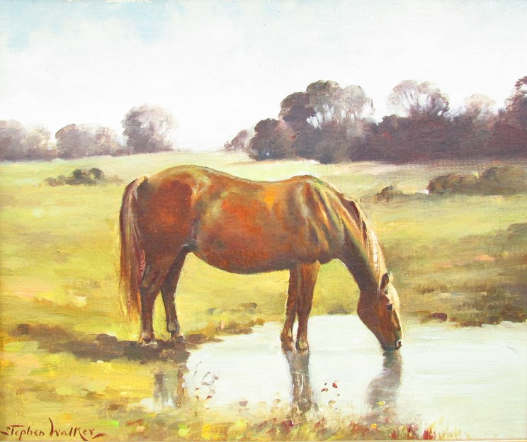 STEPHEN WALKER (1900-2004) Oil on board of Chestnut horse drinking from a pool in tree lined