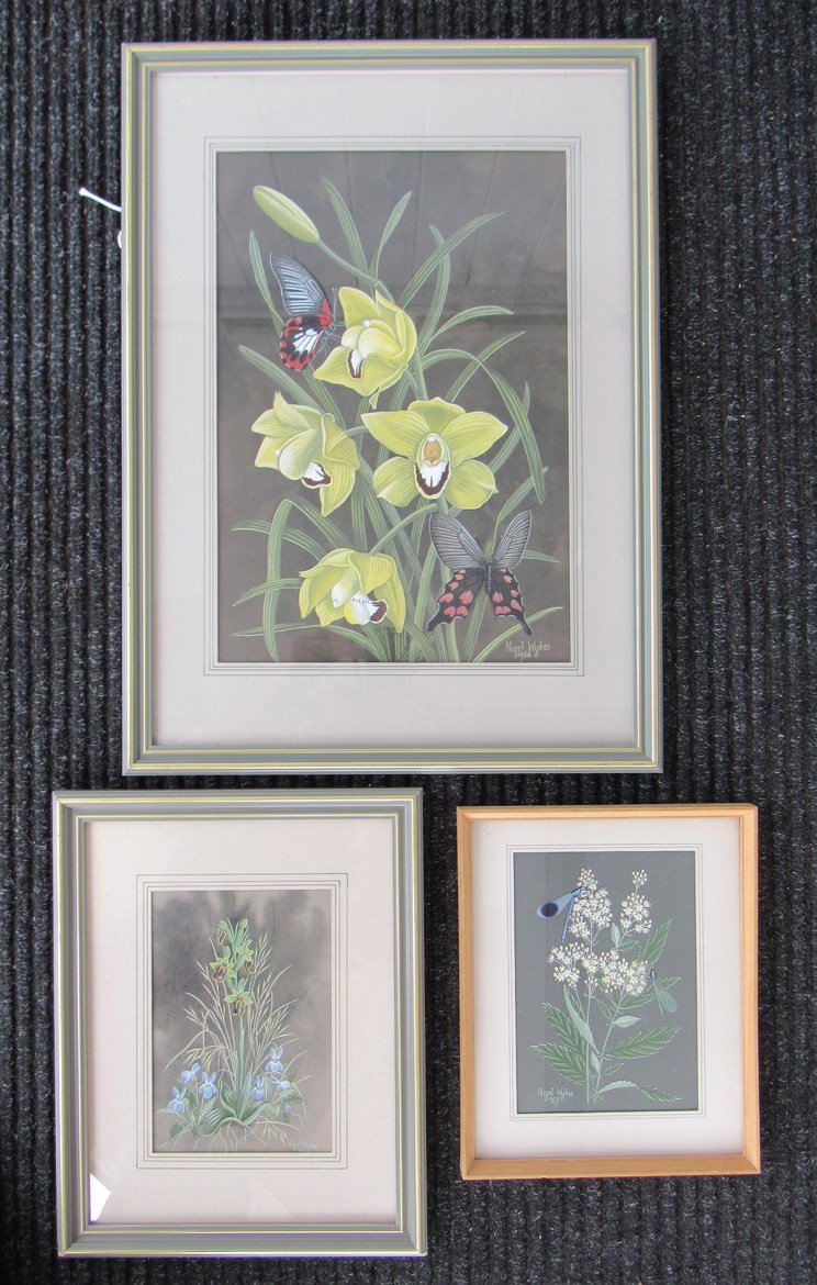 NIGEL WYKES (1906-1991): Studies of orchids - Cymbidium Hybrid "Garcia Canary",