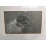 A chalk pastel portrait of a borzoi dog, signed lower left,