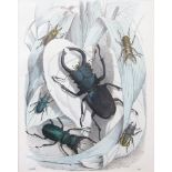 Two framed and glazed 19th Century coloured book plate Beetles and Fish,