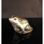 A Royal Crown Derby limited edition paperweight Frog, with gold stopper,